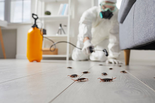 Commercial Kitchen Cockroach Control in Sullivan's Island